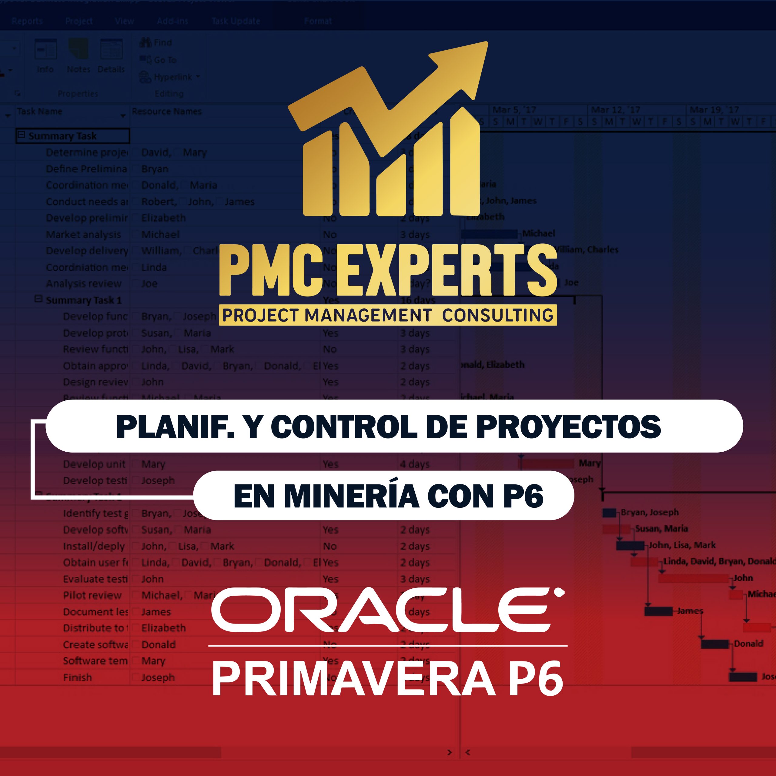 Programación de proyectos con Primavera P6 – Nivel básico intermedio